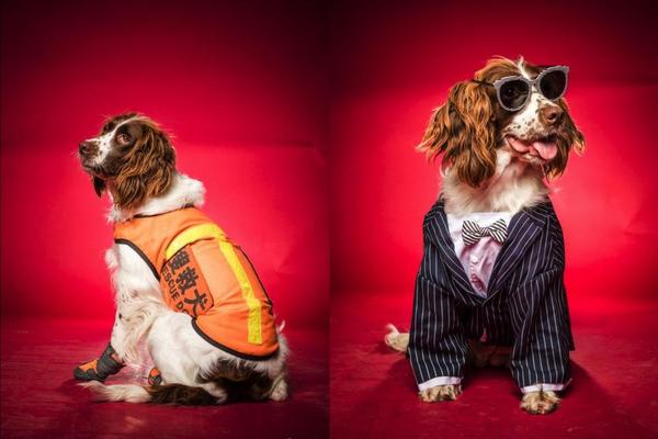 Study shows that gardening improves hand-eye coordination in young children