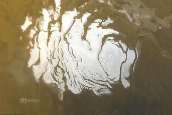 Video game company announces release of new adventure game next quarter