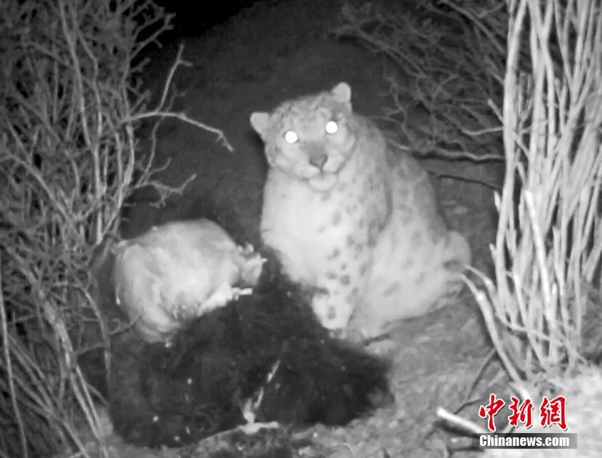 A historical society opened an exhibit featuring vintage toys from the 1950s and 1960s