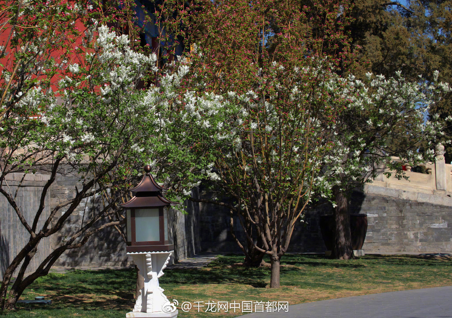 A bookstore expanded its collection of books in Spanish, French, and Mandarin