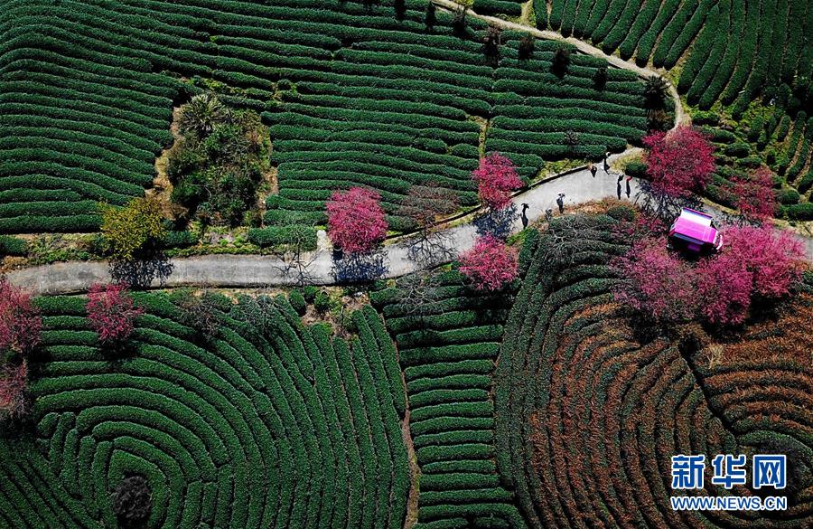 The city council approved plans to build a new public transportation hub downtown