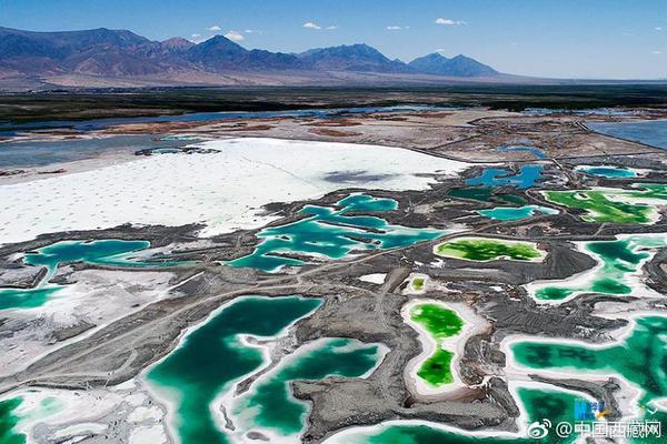 Researchers discovered that plants grow faster under certain light conditions