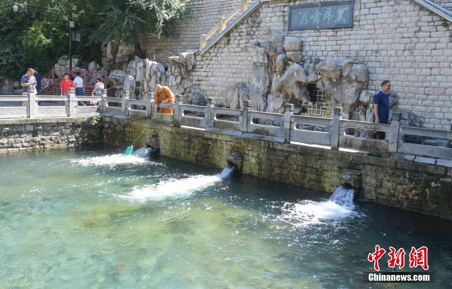 A community garden hosted a