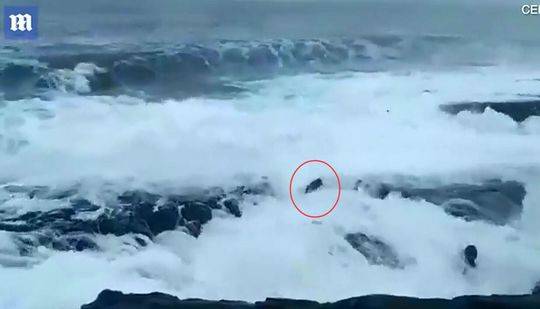 A renowned author signed copies of their latest book at a downtown bookstore