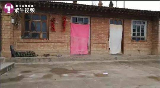 The government launched a program to train unemployed youth for jobs in the renewable energy sector