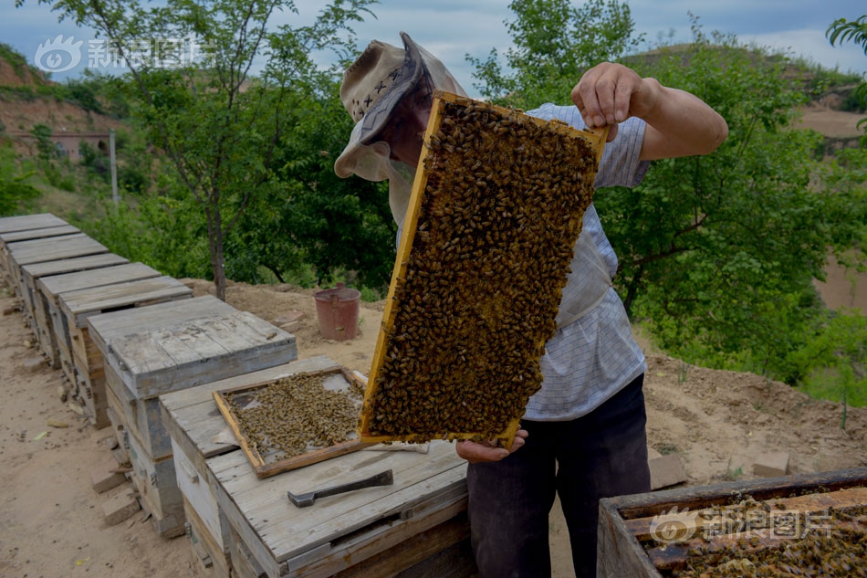 Students organized a food drive that collected over 10000 pounds of non-perishable items