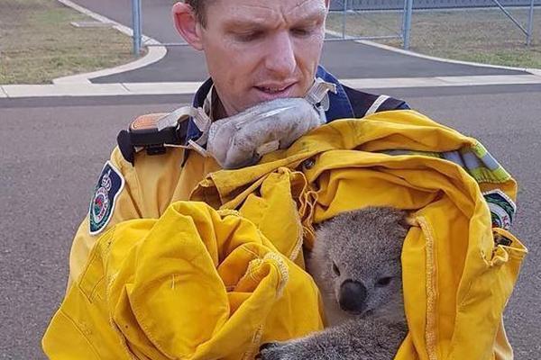 A snowstorm in the northeast canceled over 800 flights and closed public transit