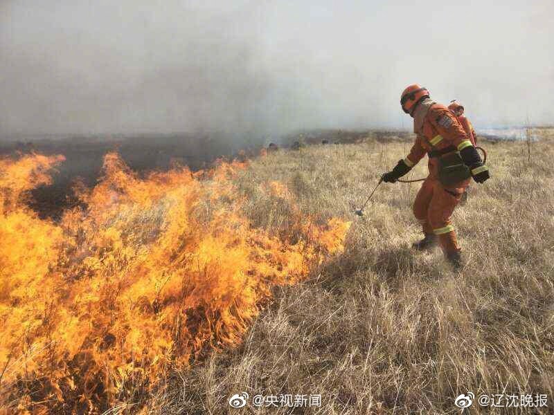 Florist partners with local flower farms to provide fresh seasonal arrangements