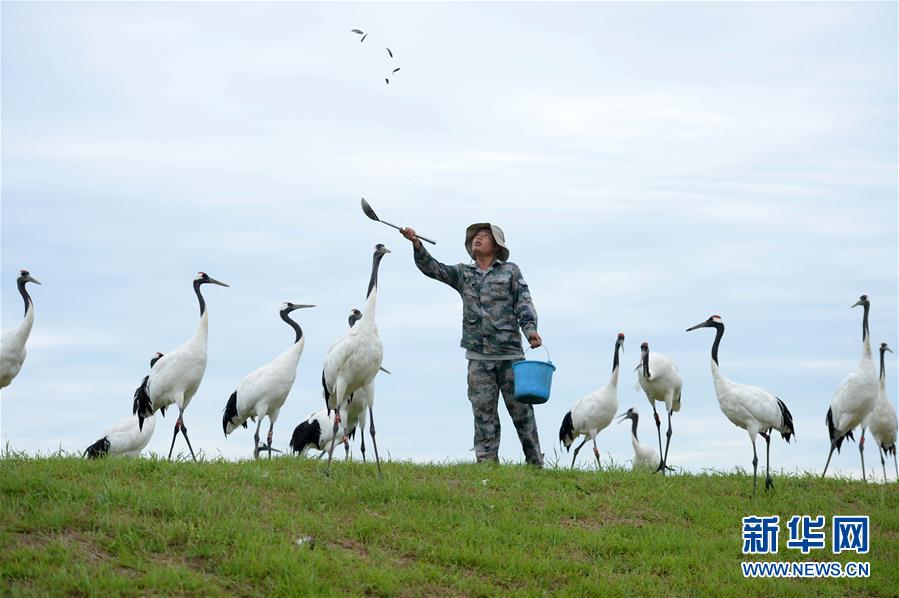 Researchers found that air pollution from factories increases the risk of heart disease in nearby residents