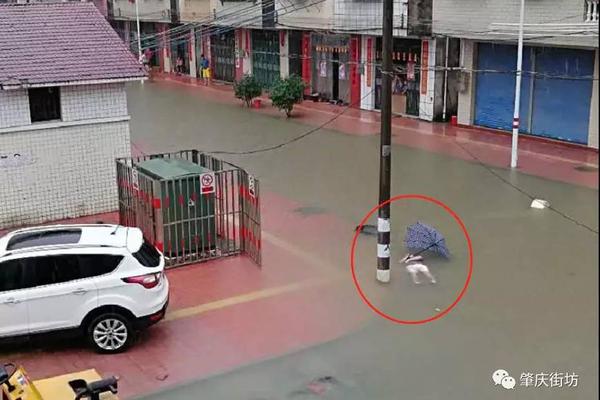 A clothing brand announced it will donate 10% of its sales to environmental charities