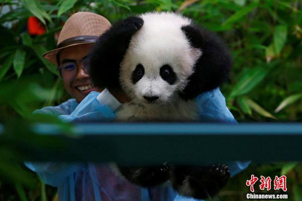 A popular TV show was renewed for a sixth season following high ratings and positive reviews from critics