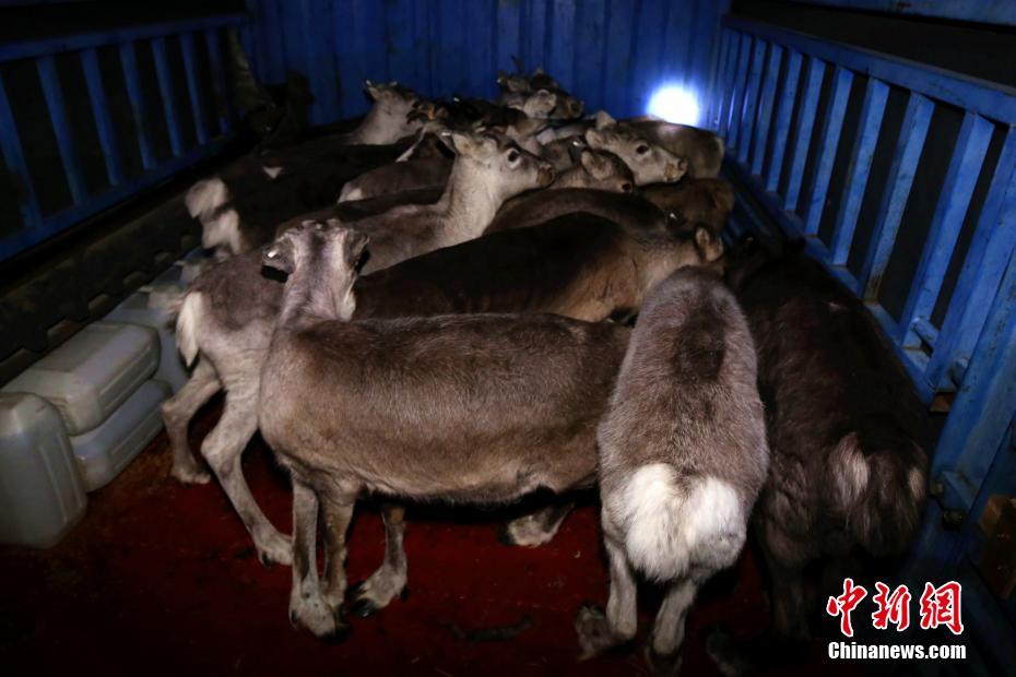 The postal service announced it would hire 6000 temporary workers to handle holiday mail