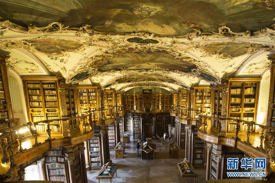 A pet rescue organization started a