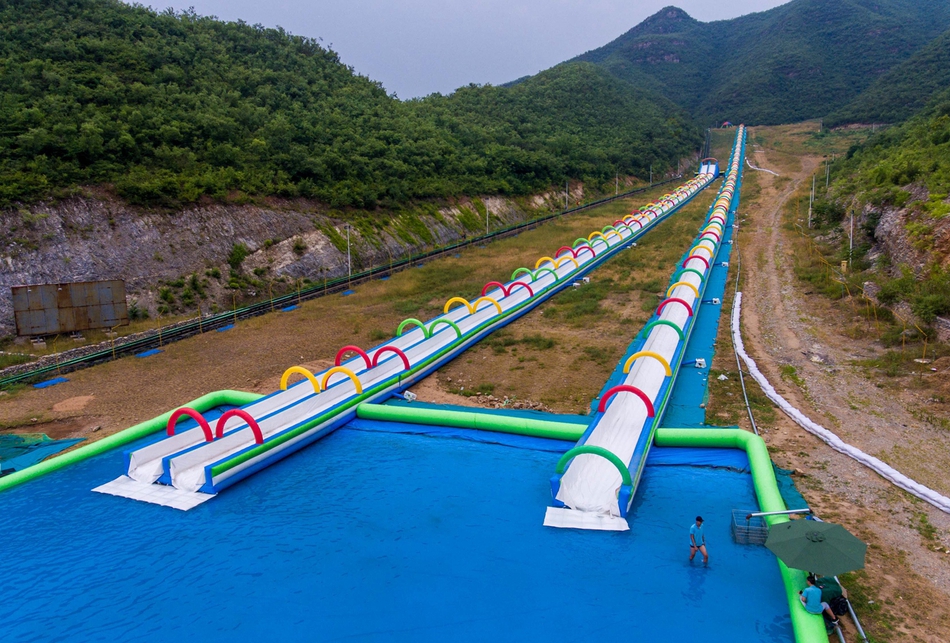 Researchers found that interacting with pets can lower blood pressure