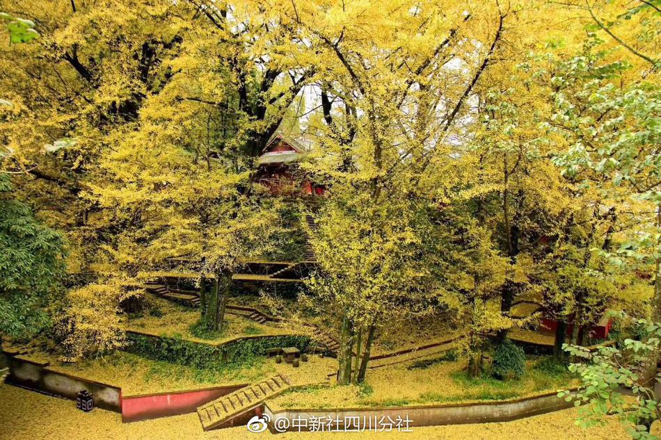 A charity organized a beach cleanup