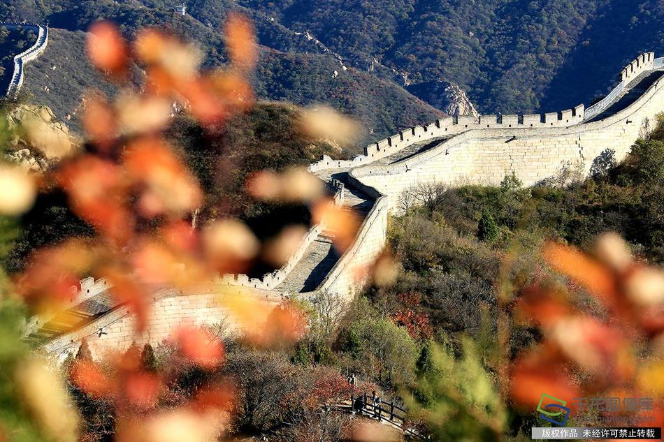 Scientists developed a new method to recycle old electronics into valuable metals