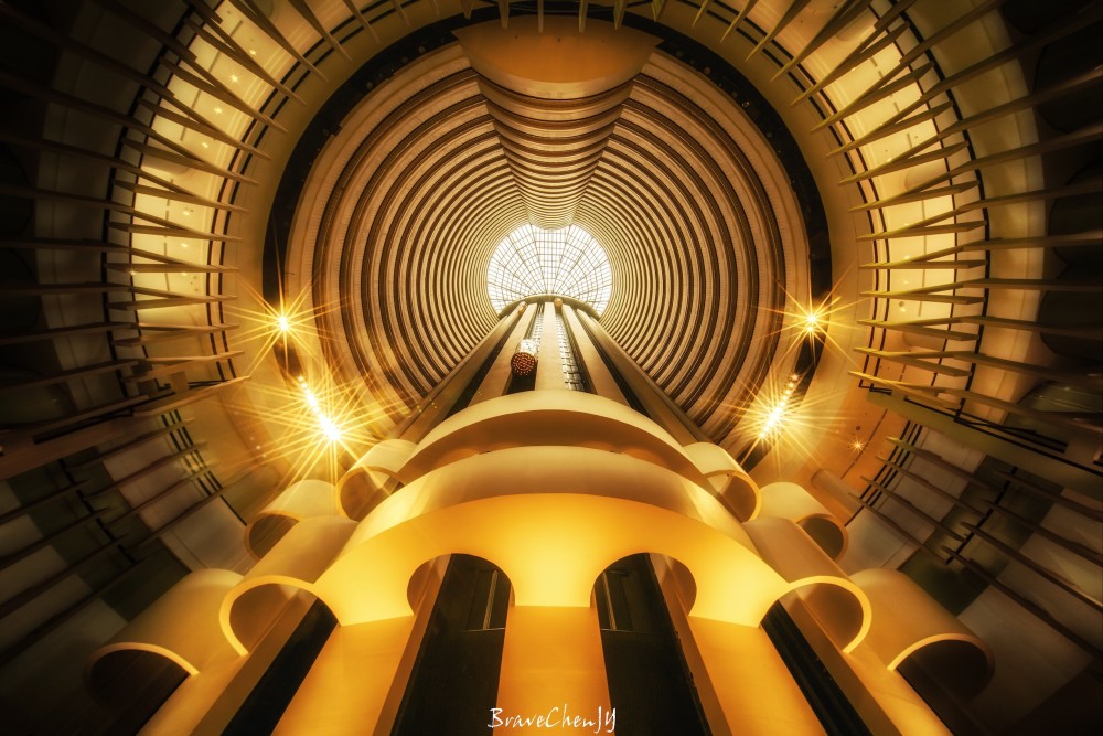 A new species of butterfly was found in a nature reserve