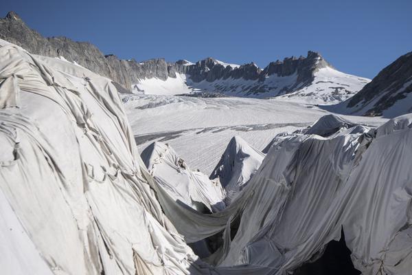 A new mobile app was launched that helps users find and book eco-friendly hotels and travel experiences