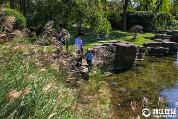 The city introduced a new parking app to help drivers find available spots