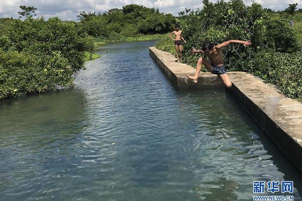 A restaurant introduced a weekend brunch menu with homemade hash and avocado toast
