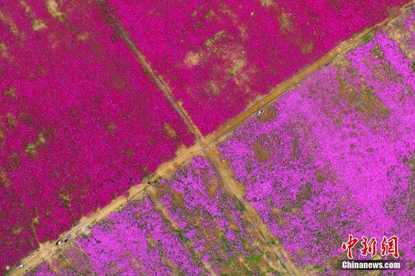 A major sports league announced it will add two new teams starting from the 2026 season