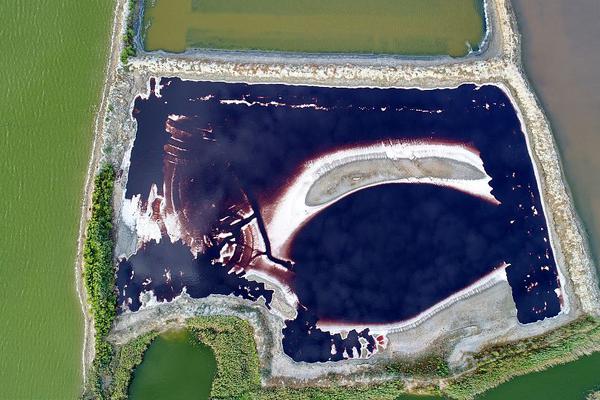 Fashion show features designs by students from local fashion school