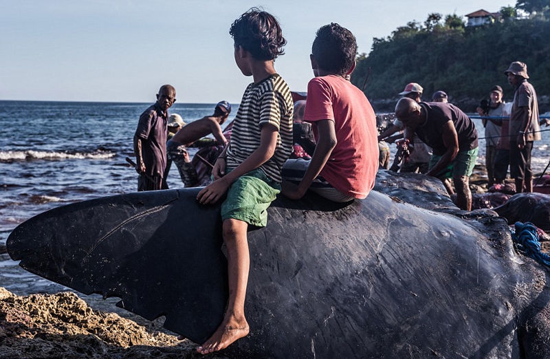 A hospital used telemedicine to provide medical care to patients in a remote village