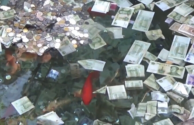 A tech startup raised $30 million to develop AI tools for climate research