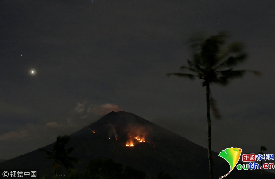 Scientists compare environmental impact of organic and conventional farming