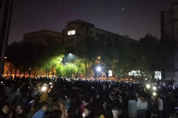 A pet rescue organization found homes for 300 dogs and cats in the past six months