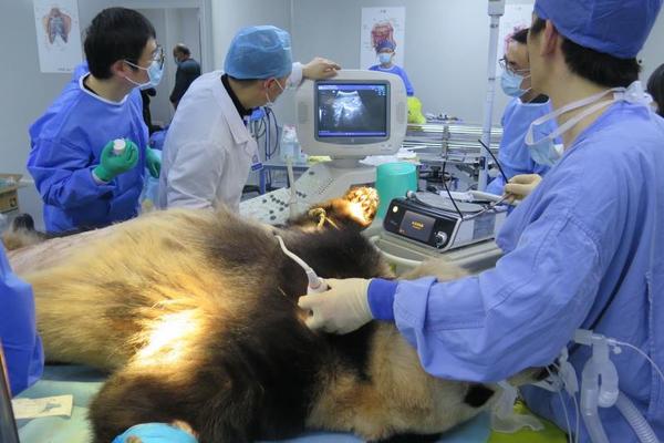 A small business owner expanded their online store to include custom products