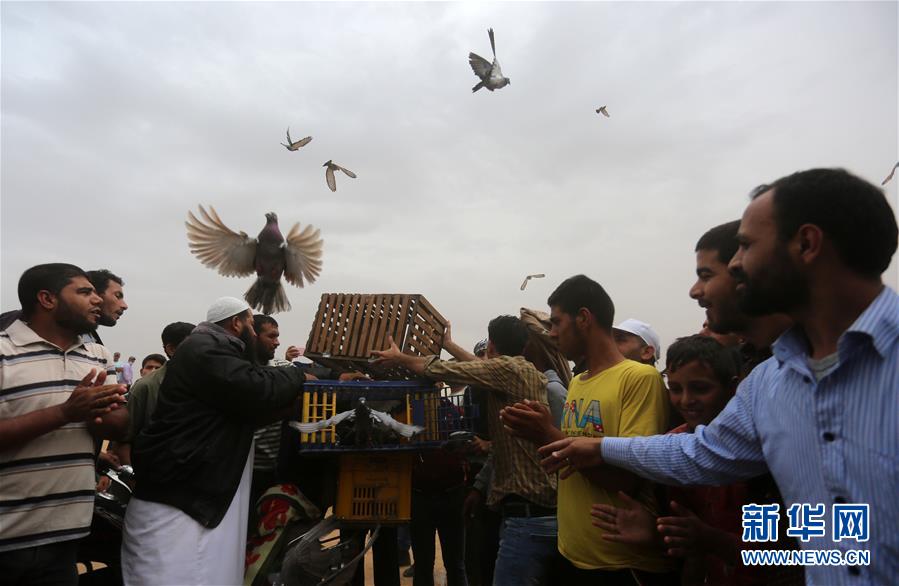A university football team hired a new head coach with 10 years of experience in college athletics