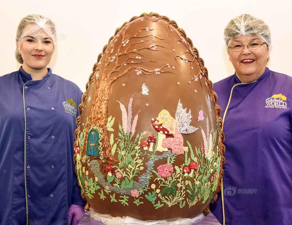 A professional sports team signed a star player from another team for a record-breaking contract