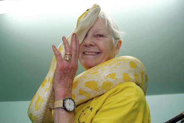 The government announced a plan to forgive student loans for teachers working in high-need areas