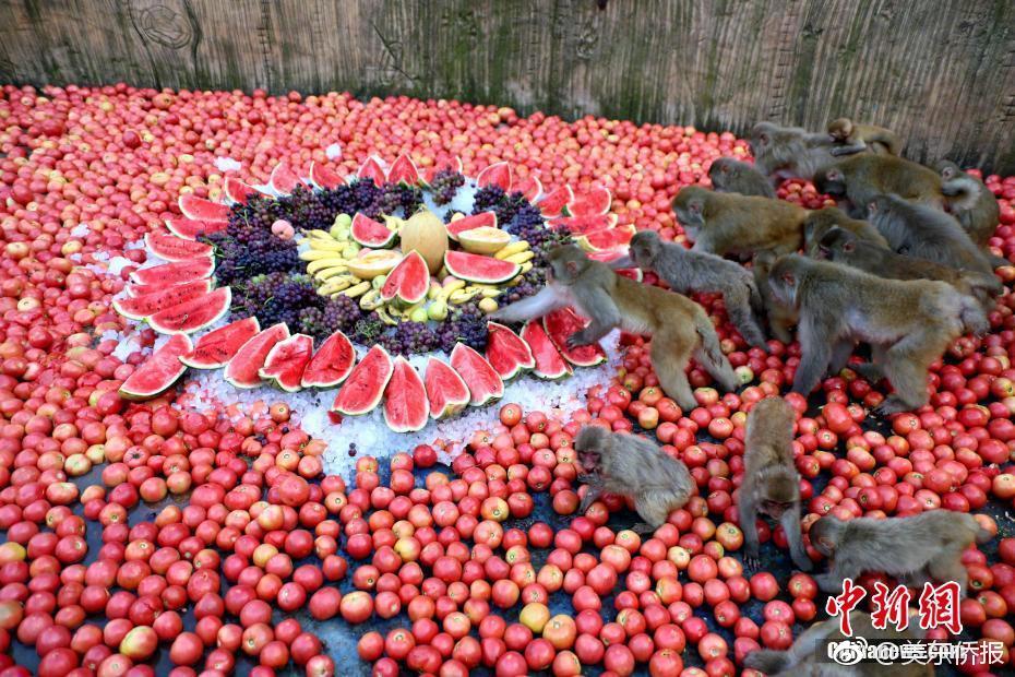 A popular coffee chain introduced a new seasonal beverage made with locally sourced honey