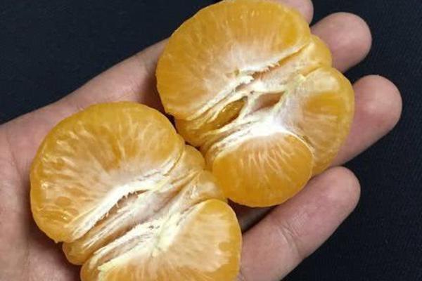 Scientists found that a certain type of mushroom can boost the immune system when eaten regularly