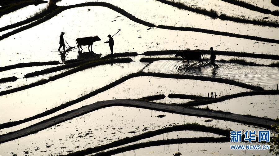 Local businesses hosted a street fair with live music and food vendors to attract customers