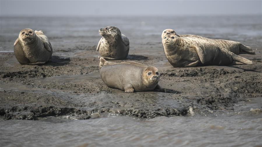 Florist creates custom wedding bouquets using locally grown flowers