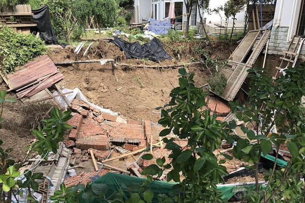 The government provided financial assistance to small businesses affected by a recent storm