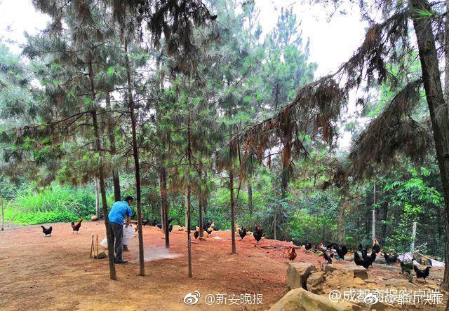 Doctors advised people with respiratory conditions to stay indoors during a recent air quality alert