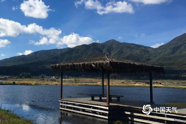 A national park reported a sighting of a rare bird species thought to be extinct in the area