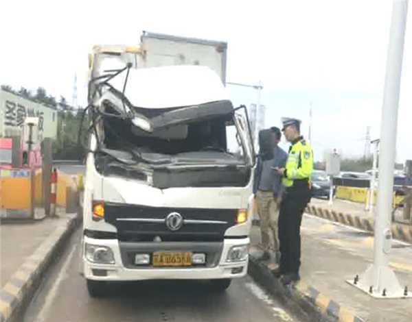 A study showed that drinking green tea regularly can improve brain function