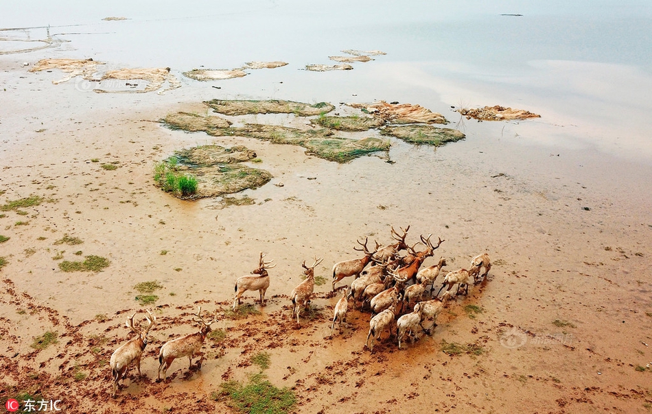 A photographer hosted a 