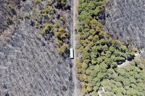 A team of engineers designed a new type of bridge that can withstand stronger earthquakes and extreme weather conditions.