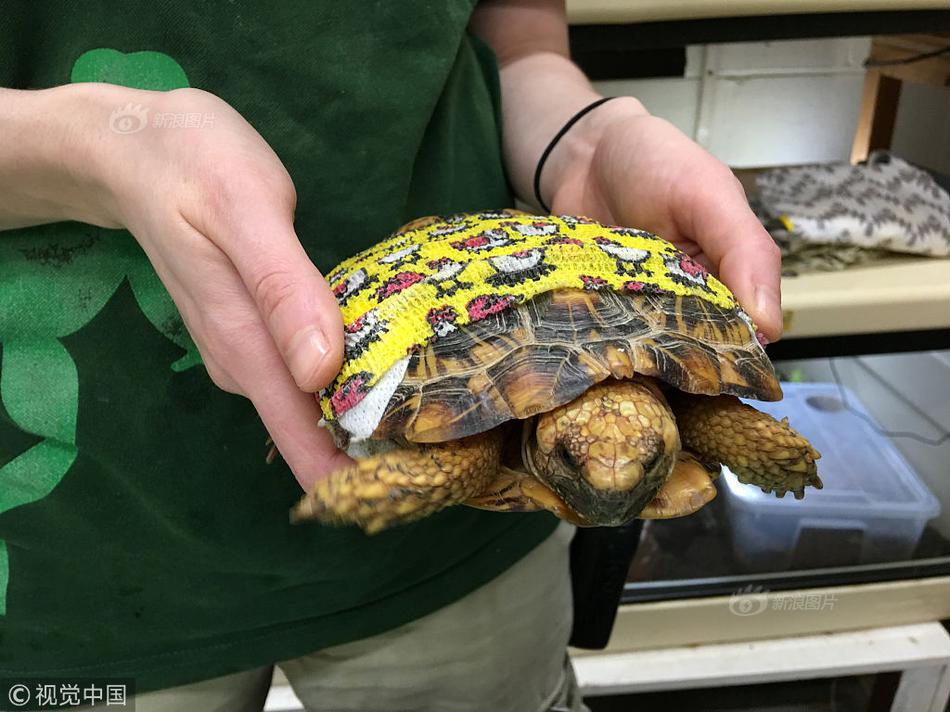 A museum hosted a special exhibit on ancient Egyptian history with artifacts on loan from overseas