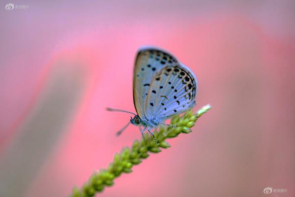 Researchers studied social media’s impact on relationships