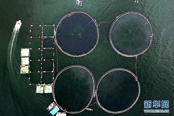 The United Nations held a conference to discuss ways to protect endangered marine species