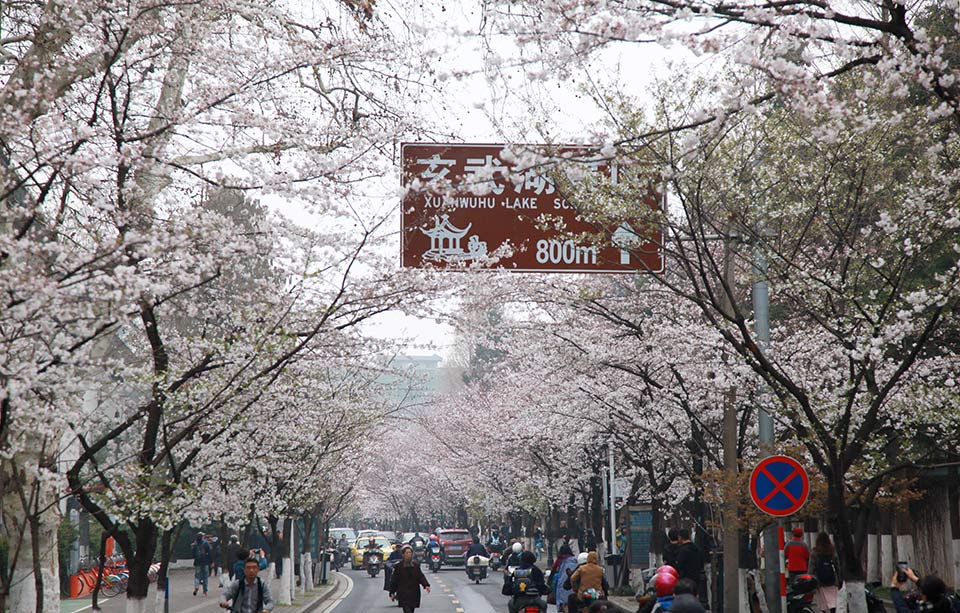 Research indicates that sunlight exposure helps reduce symptoms of seasonal depression