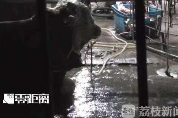 A popular music festival announced its 2025 lineup featuring award-winning musicians from around the globe