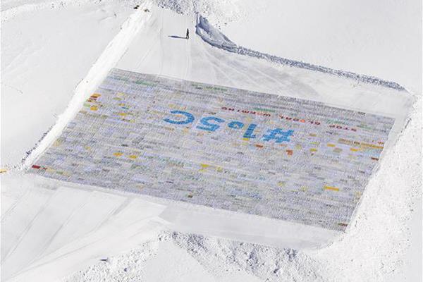 Scientists discovered a new species of insect in the rainforest